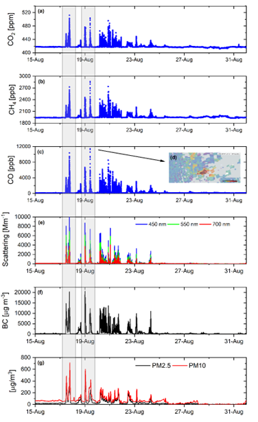 Figure 2 - Time series of surface concentrations of: (a) CO2 (ppm), (b) CH4 (ppb), and (c) CO (ppb), measured at the Izaña Observatory between August 15th and August 31st, 2023; (d) CO map taken by the TROPOMI satellite between August 17th and August 18th, 2023; (e) Scattering coefficient measured with the nephelometer in 1/Mm; (f) Black carbon content in µ·gm-3 measured with the MAAP; (g) Concentration of particulate matter with an aerodynamic diameter equal to or less than 2.5 microns (PM2.5) and 10 microns (PM10), respectively, in µg·m-3 measured with the TEOM.